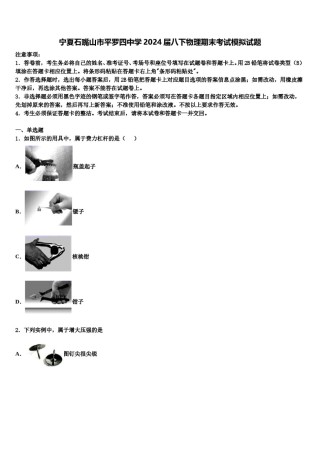 宁夏石嘴山市平罗四中学2024届八下物理期末考试模拟试题含解析.doc