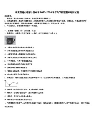 宁夏石嘴山市第十五中学2023-2024学年八下物理期末考试试题含解析.doc