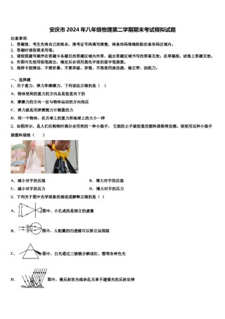 安庆市2024年八年级物理第二学期期末考试模拟试题含解析.doc