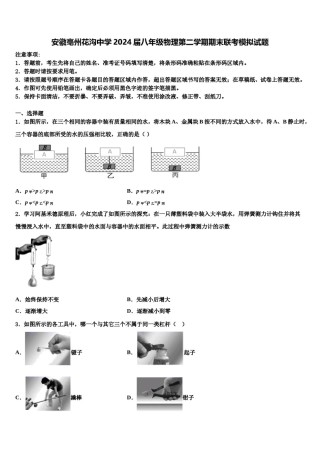 安徽亳州花沟中学2024届八年级物理第二学期期末联考模拟试题含解析.doc