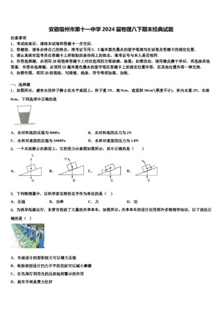 安徽宿州市第十一中学2024届物理八下期末经典试题含解析.doc