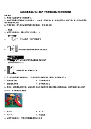 安徽淮南寿县2024届八下物理期末复习检测模拟试题含解析.doc