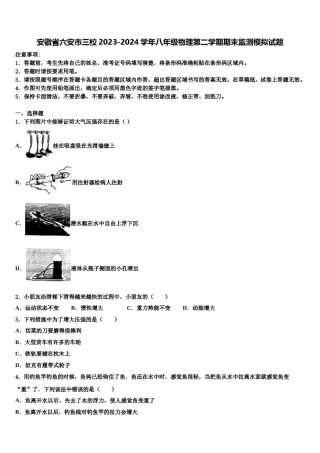 安徽省六安市三校2023-2024学年八年级物理第二学期期末监测模拟试题含解析.doc