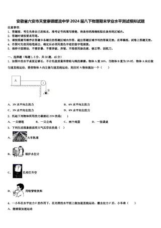 安徽省六安市天堂寨镇暖流中学2024届八下物理期末学业水平测试模拟试题含解析.doc