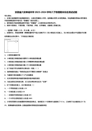 安徽省六安皋城中学2023-2024学年八下物理期末综合测试试题含解析.doc