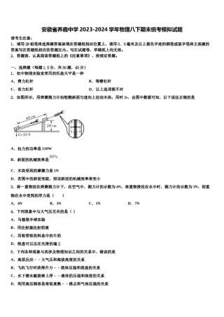 安徽省养鹿中学2023-2024学年物理八下期末统考模拟试题含解析.doc