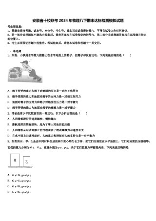 安徽省十校联考2024年物理八下期末达标检测模拟试题含解析.doc