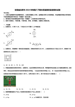 安徽省合肥市2024年物理八下期末质量跟踪监视模拟试题含解析.doc