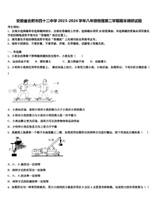 安徽省合肥市四十二中学2023-2024学年八年级物理第二学期期末调研试题含解析.doc
