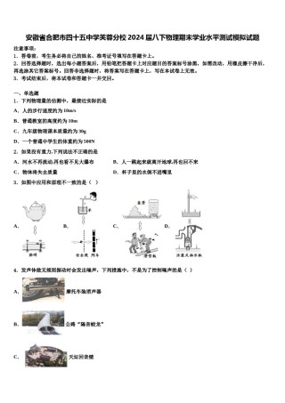安徽省合肥市四十五中学芙蓉分校2024届八下物理期末学业水平测试模拟试题含解析.doc