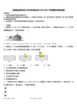 安徽省合肥市四十五中学芙蓉分校2024年八下物理期末预测试题含解析.doc