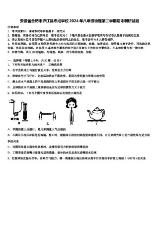 安徽省合肥市庐江县志成学校2024年八年级物理第二学期期末调研试题含解析.doc