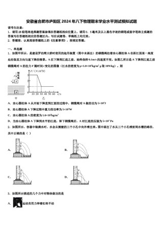 安徽省合肥市庐阳区2024年八下物理期末学业水平测试模拟试题含解析.doc