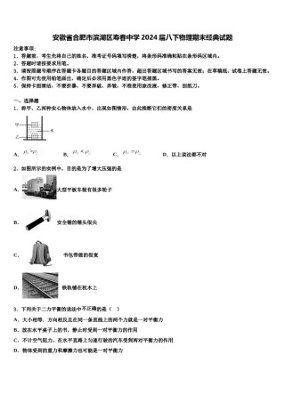 安徽省合肥市滨湖区寿春中学2024届八下物理期末经典试题含解析.doc