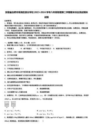 安徽省合肥市瑶海区部分学校2023-2024学年八年级物理第二学期期末综合测试模拟试题含解析.doc