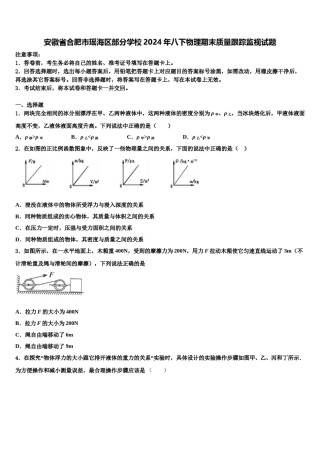 安徽省合肥市瑶海区部分学校2024年八下物理期末质量跟踪监视试题含解析.doc