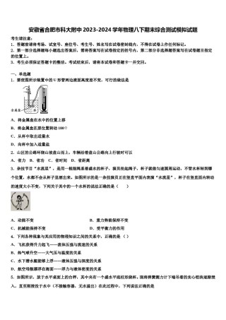 安徽省合肥市科大附中2023-2024学年物理八下期末综合测试模拟试题含解析.doc