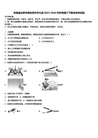 安徽省合肥市肥东四中学九级2023-2024学年物理八下期末统考试题含解析.doc