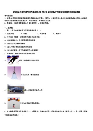 安徽省合肥市肥东四中学九级2024届物理八下期末质量检测模拟试题含解析.doc