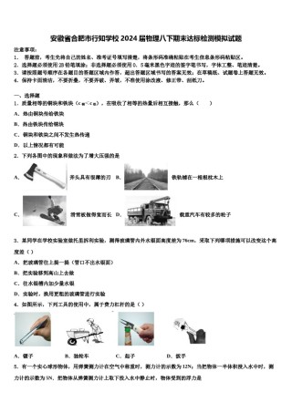安徽省合肥市行知学校2024届物理八下期末达标检测模拟试题含解析.doc