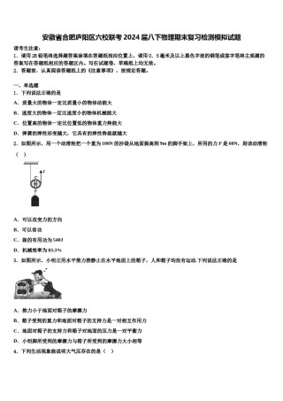 安徽省合肥庐阳区六校联考2024届八下物理期末复习检测模拟试题含解析.doc