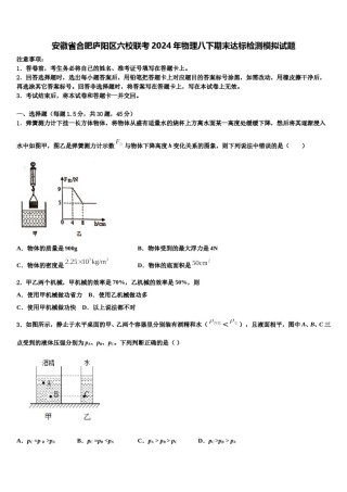 安徽省合肥庐阳区六校联考2024年物理八下期末达标检测模拟试题含解析.doc