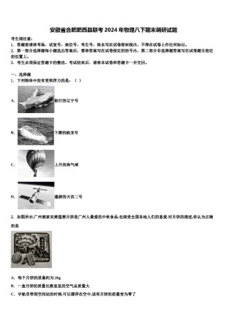 安徽省合肥肥西县联考2024年物理八下期末调研试题含解析.doc