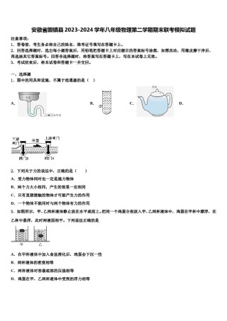 安徽省固镇县2023-2024学年八年级物理第二学期期末联考模拟试题含解析.doc