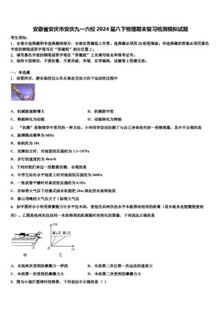 安徽省安庆市安庆九一六校2024届八下物理期末复习检测模拟试题含解析.doc