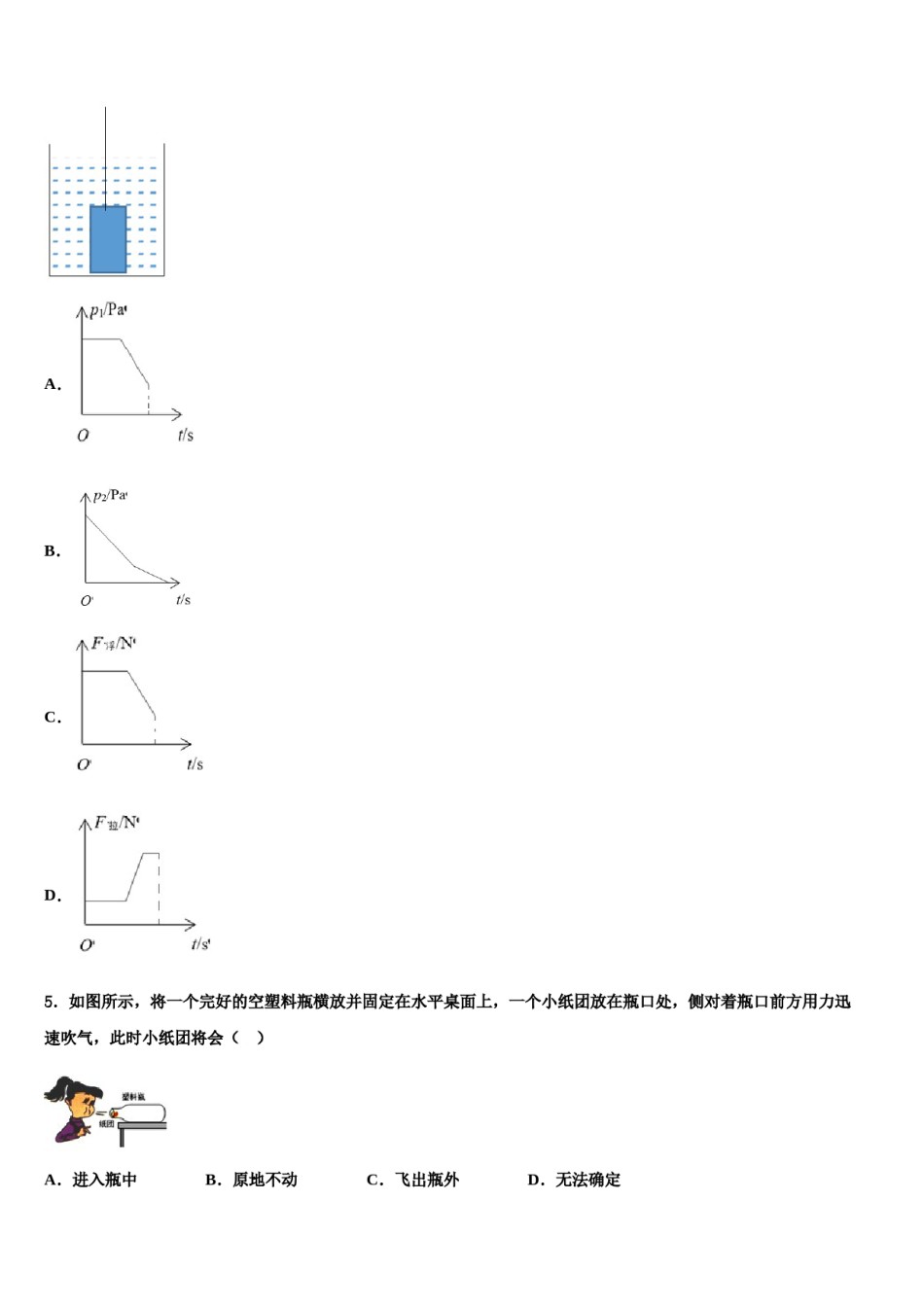 安徽省安庆市桐城二中2024年八下物理期末达标检测模拟试题含解析.doc_第2页