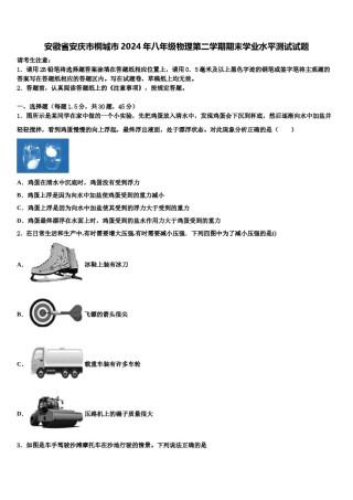 安徽省安庆市桐城市2024年八年级物理第二学期期末学业水平测试试题含解析.doc