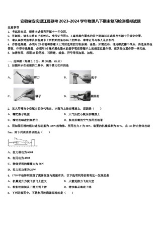 安徽省安庆望江县联考2023-2024学年物理八下期末复习检测模拟试题含解析.doc