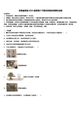 安徽省宣城2024届物理八下期末质量检测模拟试题含解析.doc