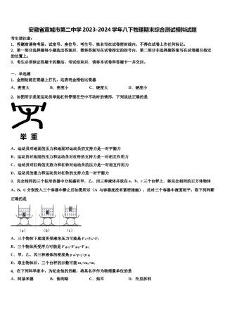 安徽省宣城市第二中学2023-2024学年八下物理期末综合测试模拟试题含解析.doc