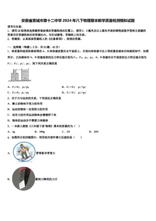 安徽省宣城市第十二中学2024年八下物理期末教学质量检测模拟试题含解析.doc