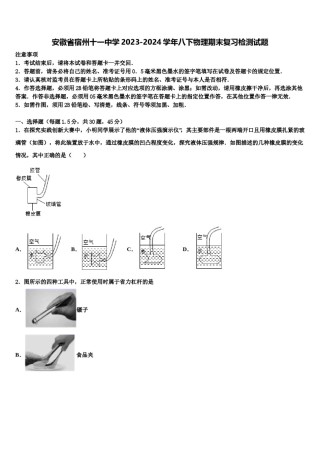 安徽省宿州十一中学2023-2024学年八下物理期末复习检测试题含解析.doc