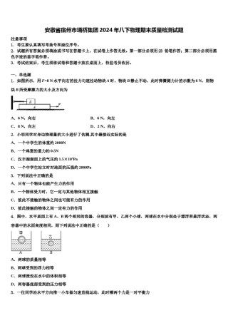 安徽省宿州市埇桥集团2024年八下物理期末质量检测试题含解析.doc