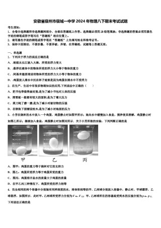 安徽省宿州市宿城一中学2024年物理八下期末考试试题含解析.doc