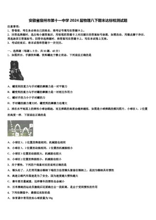 安徽省宿州市第十一中学2024届物理八下期末达标检测试题含解析.doc