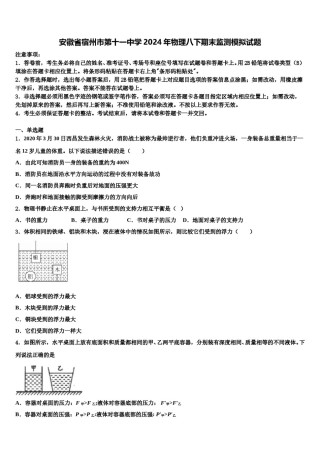 安徽省宿州市第十一中学2024年物理八下期末监测模拟试题含解析.doc
