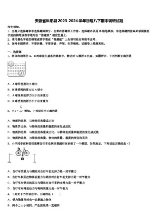 安徽省枞阳县2023-2024学年物理八下期末调研试题含解析.doc
