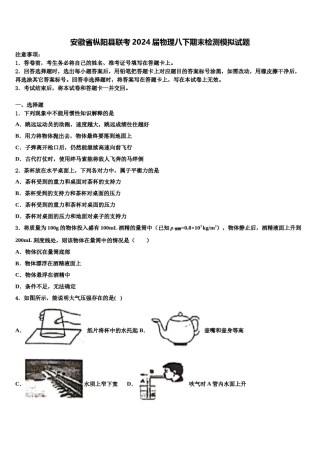 安徽省枞阳县联考2024届物理八下期末检测模拟试题含解析.doc