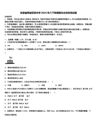 安徽省桐城实验中学2024年八下物理期末达标检测试题含解析.doc