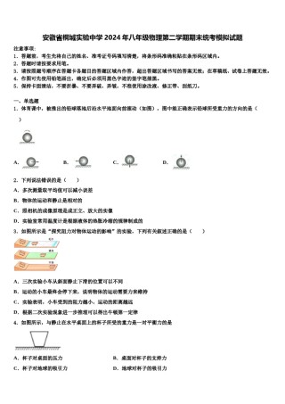 安徽省桐城实验中学2024年八年级物理第二学期期末统考模拟试题含解析.doc