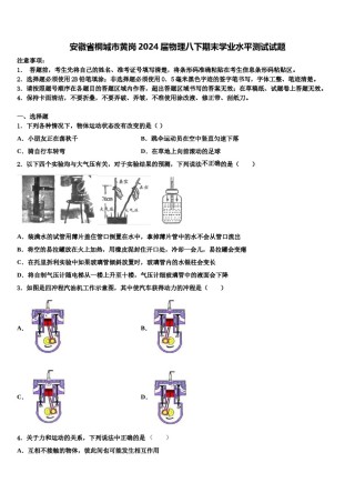 安徽省桐城市黄岗2024届物理八下期末学业水平测试试题含解析.doc