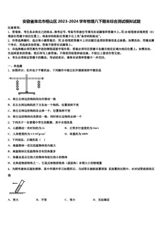 安徽省淮北市相山区2023-2024学年物理八下期末综合测试模拟试题含解析.doc