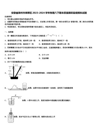 安徽省滁州市琅琊区2023-2024学年物理八下期末质量跟踪监视模拟试题含解析.doc