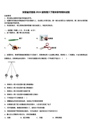 安徽省灵璧县2024届物理八下期末联考模拟试题含解析.doc