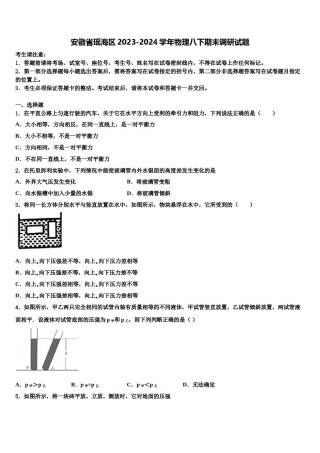 安徽省瑶海区2023-2024学年物理八下期末调研试题含解析.doc