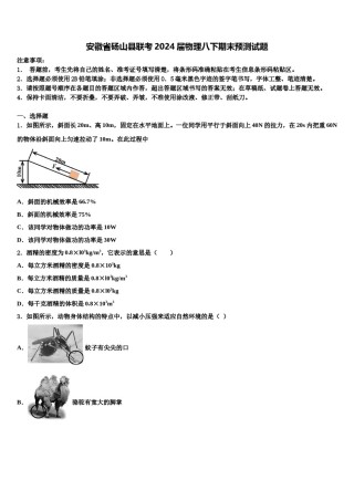 安徽省砀山县联考2024届物理八下期末预测试题含解析.doc